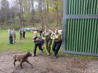 20250419_163344 (1024x768).jpg